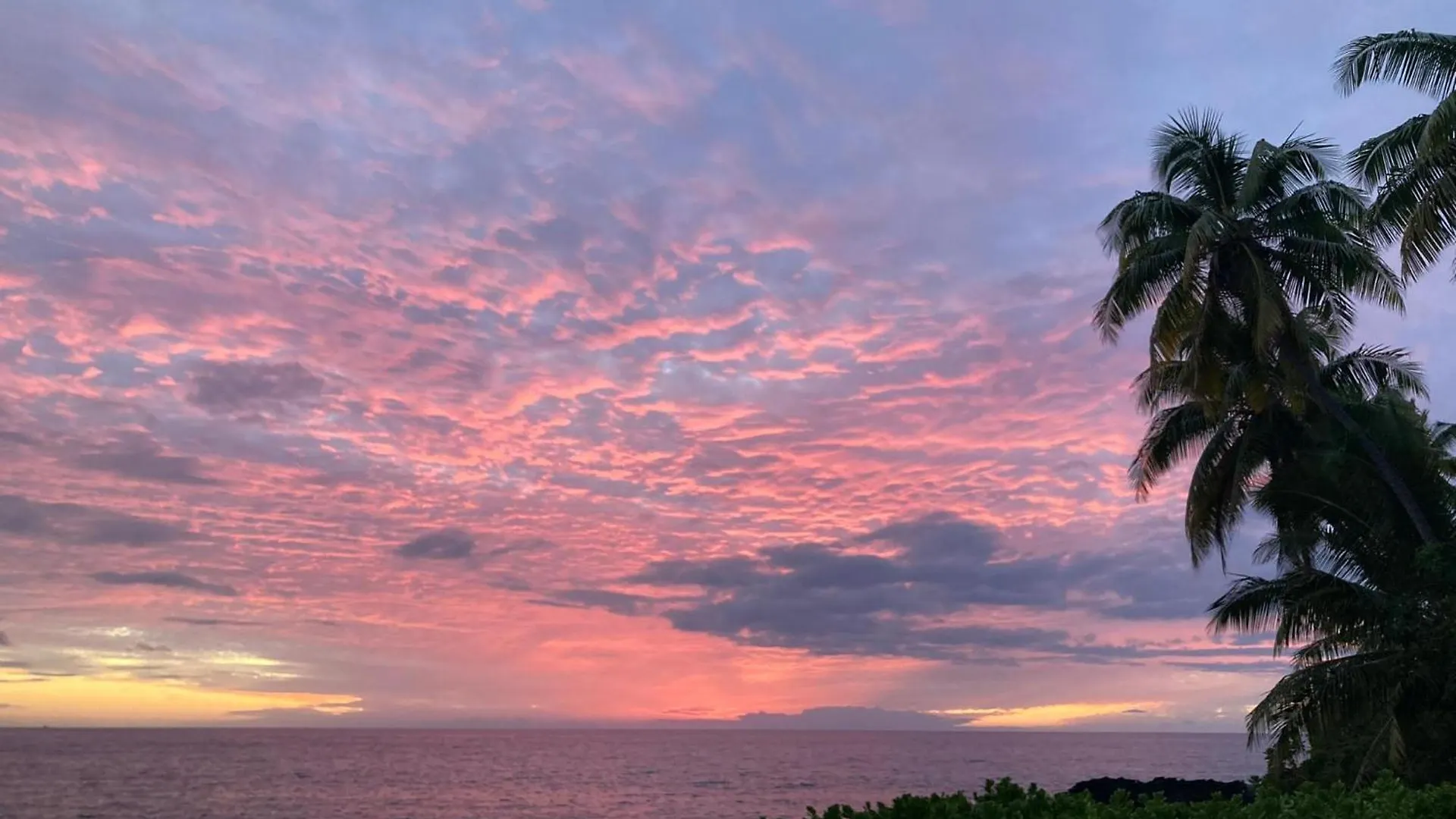 Kona Palms#201 Villa Kailua-Kona Semesterbostad
