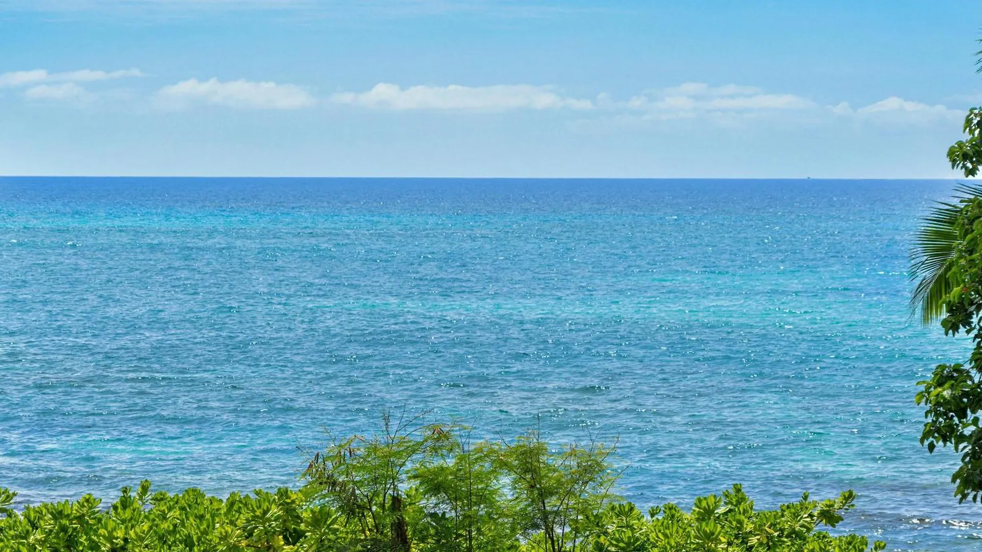 Kona Palms#201 Villa Kailua-Kona Semesterbostad